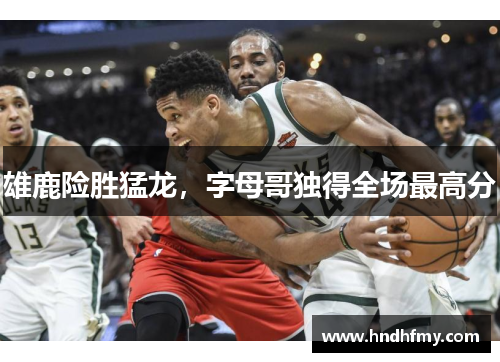雄鹿险胜猛龙，字母哥独得全场最高分
