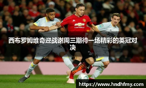 bsports官网入口